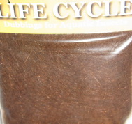 ������� life cycle dub NYMPH brown  Wapsi